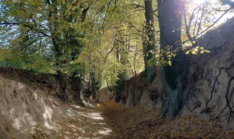 Storytelling Texte Header Markenkern